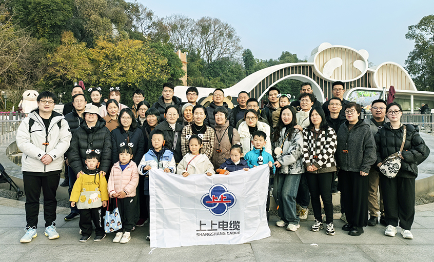 以文化润心 用关怀聚力——江苏上上电缆集团2024年度先进员工蜀韵文化之旅圆满收官